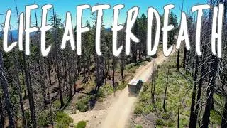 Overlanding Shasta-Trinity National Forest - Hidden Beauty Again