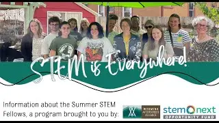 Learn About the Summer STEM Fellowship - 2025