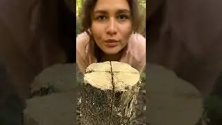 She will survive in any FOREST #camping #survival #bushcraft #outdoors #marusya #shiklina