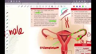 Form 4 KSSM Biology - Chapter 15.1 & 15.2