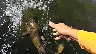 I HOOKED INTO SOMETHING BIG ON THE BANK