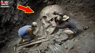 A Giant Skeleton 30 Feet Long Has Just Been Discovered Hiding Secrets That Shocked Archaeologists