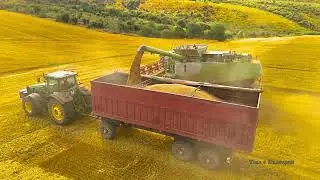 Жътва