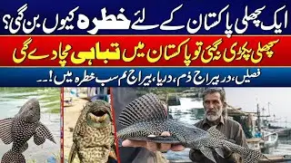 Alien Fish Threatens Pakistan: Crops, Rivers, and Dams in Danger! | 24 News HD