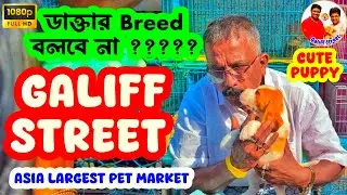 মাত্র 4500 টাকা থেকে কুকুর শুরু 😳🔥| Galiff Street Pet Market | Dog Market in Kolkata