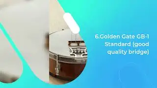 Top 7 Best Banjo Bridges For Banjo Players!