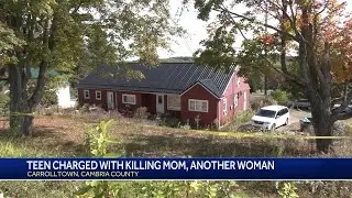 14-year-old charged as adult with criminal homicide after two found dead in Cambria County