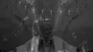 CULTED - 