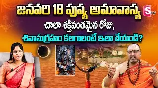Pushya Amavasya 2026 | How To Perform Pooja And Mantras | Nandibhatla Srihari Sharma | SumanTV USA