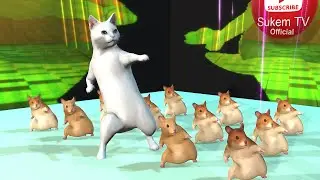 Cat and Hamster dance 💃 Macarena 💃 SukemTV Official