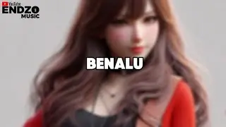 Endzo - Benalu