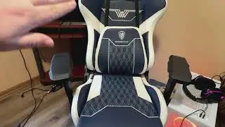 Dowinx Gaming Chair 1 Year Review-What Works What Doesn't?