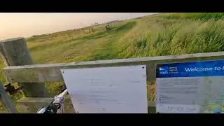 denge marsh dungeness