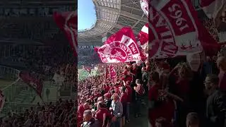 Torino - Genoa, Serie A Enilive, pareggio del Toro con autogol di Sabelli