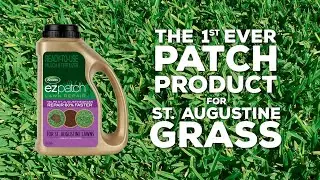 How to repair St. Augustine Grass with Scotts&reg; EZ Patch