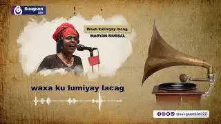 Heesta Waxaa ku lumiyay lacag - Maryan Mursal - Bile Media, 2022