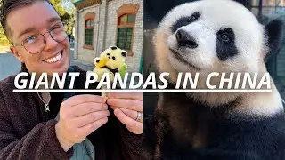 Seeing Giant Pandas at Beijing Zoo | Our First Subway Ride