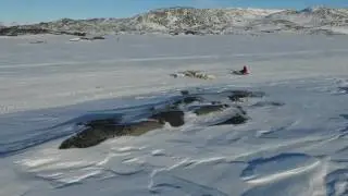 Qimussimik Anngunniuunneq 2017 Ilulissat Greenland Dogsled Race