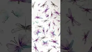 아세테이트 필름 나비🦋