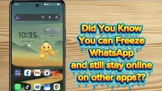 How to Freeze WhatsApp and still stay online on other apps