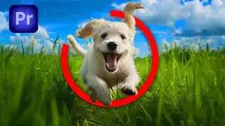 How To Make Circle Outline Animation In Premiere Pro