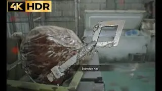 RESIDENT EVIL 7 BIOHAZARD, SCORPION KEY