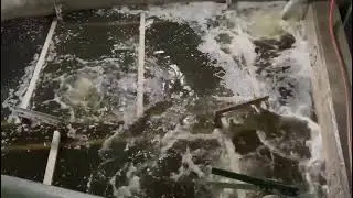 Fabric Sloughing in an anoxic zone