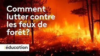 Mission info : comment lutter contre les feux de forêt ?