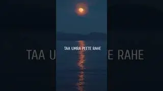 Poetry #life #nature #soulmate #soullife #explore #song #youtubeshorts #yiutubeindia
