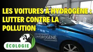 Les Voitures &agrave; Hydrog&egrave;ne Sauver le Monde du R&eacute;chauffement Climatique