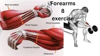 HUGE 8 BEST Exercises Forearms workout for Bigger (dumbbells - Barball)