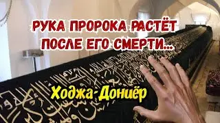 18-метровая рука пророка Даниила. Святой Дониёр. Самарканд, Узбекистан.