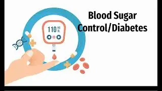The 3 BEST Supplements for Blood Sugar Control and Diabetes