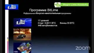 Знакомимся с Компанией Magic Lime Academy