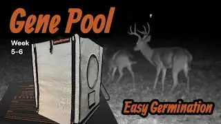 Spider Farmer Germination Tent + Heating Mat | Air Cube System