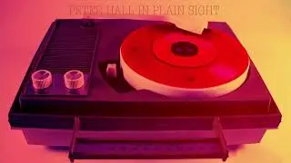 Peter Hall - In Plain Sight