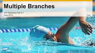 Multiple Branches in SAP Business One 9.1 - Feature Clip