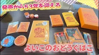 【株式会社デビカ】を紹介！YouTubeチャンネル【とちカツTV】（2024年12月）