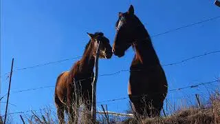 B&eacute;rchules, Junta de R&iacute;os, Tajos del Reyecillo, Cortijo Montero y B&eacute;rchules