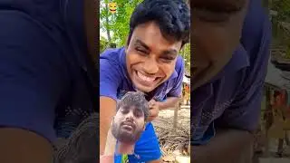 monkey ne hat ko kata #comedy #monkeysr #funny #monkey #cute
