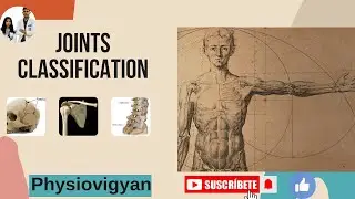 Classification and Types of Joint ll Anatomy of Joints ll Structures and Cartilaginous joints