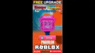 🔴Celestial Secret Block is here Collect Quickly , Escape Tsunami for Brainrots, ROBLOX.