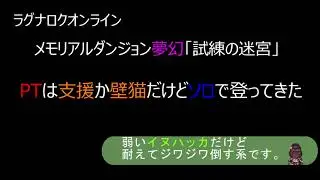 【RO】壁猫が一人で夢幻の迷宮行ってきた【ソロ】※試練の方