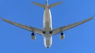 Boxing Day Plane spotting! Capturing overhead Takeoffs and landing at Sydney Airport- (SYD/YSSY)