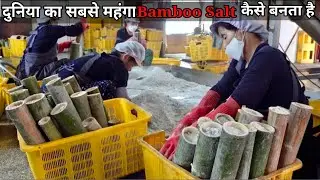 BAMBOO SALT ( Purple Salt ) कैसे बनता है || Bamboo Salt kaise banta hai