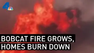 Homes Destroyed as Bobcat Fire Grows to 91,000 Acres | NBCLA