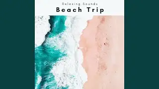 Soft Night Sea Sounds Garden for Instant Sleep