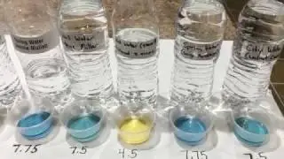 PH Water Test