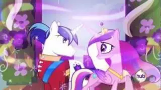 Pony Should Pony Pony PMV
