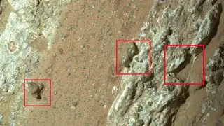 NASA Discovers Mysterious &ldquo;Leopard-Spotted Rock on Mars | Perseverance Rover Captures Stunning Image